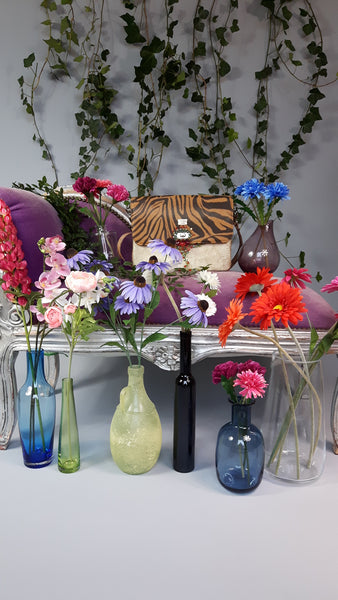 Back to the Wild Roots