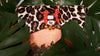 Lava Leopard