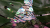 The Great Big Iridescent